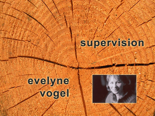 Internetauftritt derzeit nicht erreichbar